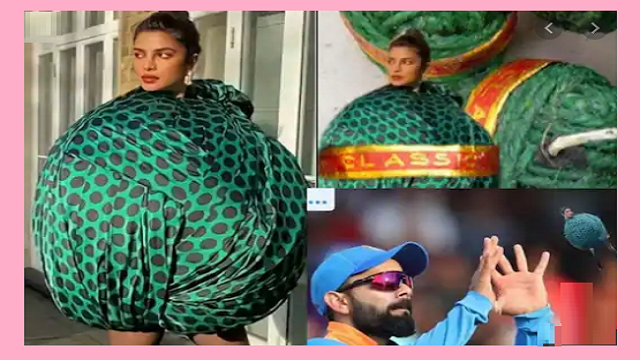 Priyanka  reacts as fan says why wear a humour dress
