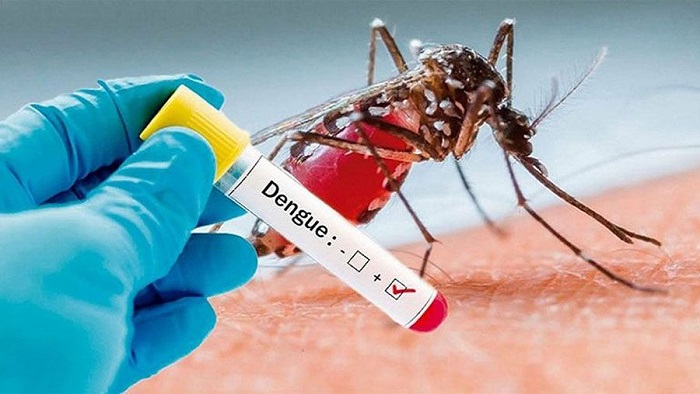440 more hospitalised with Dengue in 24 hrs